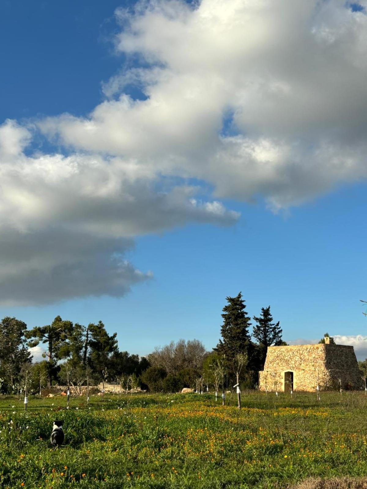 トゥーリエ Badia San Michele Pajara Aidaアパートホテル エクステリア 写真